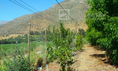 VENDEMOS Parcela con arboles frutales y casa para disfrutar del campo