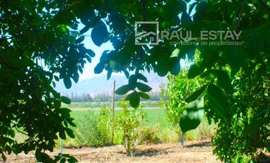 VENDEMOS Parcela con arboles frutales y casa para disfrutar del campo