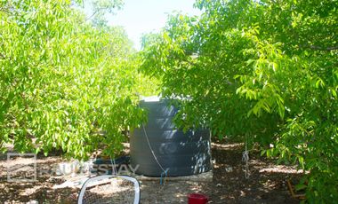 VENDEMOS Parcela con arboles frutales y casa para disfrutar del campo