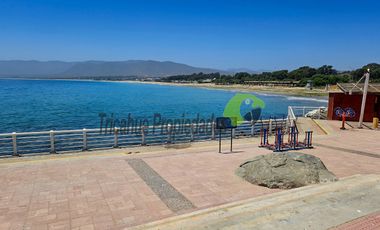 Venta de Sitio de 220 m2 con cabaña amoblada. Guanaqueros, Coquimbo. $47 millones