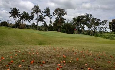 The Non-Fairway Lots for Sale in Silang Cavite