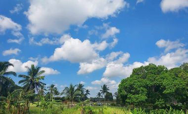 The Fairway Lots for Sale in Silang Cavite via CALAX