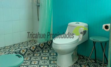 Venta de hermosa parcela de 10.000 m2, con 3 cabañas, agua de riego. Sector Mamalluca, Vicuña. $180 millones.