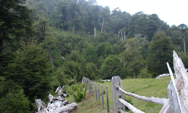Venta de Predio cercano a Pucón
