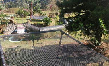 VENTA HERMOSA FINCA TURISTICA CON (ALOJAMIENTO RURAL)