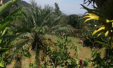 VENTA HERMOSA FINCA TURISTICA CON (ALOJAMIENTO RURAL)