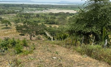 Terreno agricola y ganadería de venta en Tosagua C/P