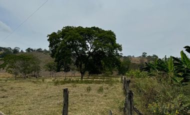 Terreno agricola y ganadería de venta en Tosagua C/P