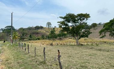 Terreno agricola y ganadería de venta en Tosagua C/P