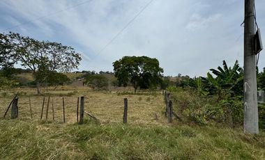 Terreno agricola y ganadería de venta en Tosagua C/P