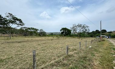 Terreno agricola y ganadería de venta en Tosagua C/P