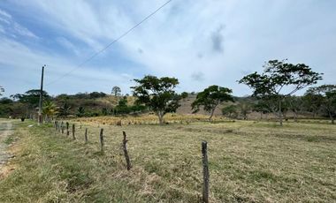 Terreno agricola y ganadería de venta en Tosagua C/P