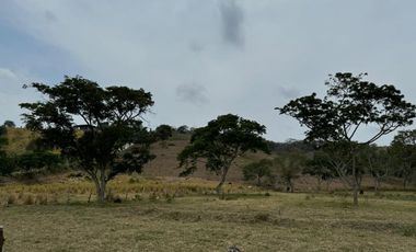Terreno agricola y ganadería de venta en Tosagua C/P