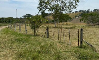 Terreno agricola y ganadería de venta en Tosagua C/P
