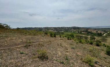 Terreno agricola y ganadería de venta en Tosagua C/P