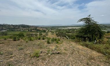 Terreno agricola y ganadería de venta en Tosagua C/P