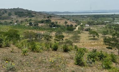 Terreno agricola y ganadería de venta en Tosagua C/P