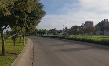 Lote para 33 viviendas en comunidad con campo de golf, en venta, San Miguel de Allende.