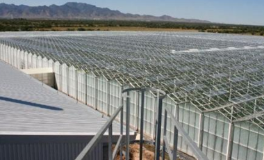 En SLPotosi terreno de 58has en VENTA uso industrial