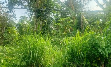 LOT FOR SALE IN AMADEO CAVITE NEAR TAGAYTAY CITY