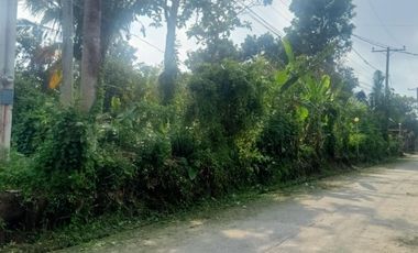 LOT FOR SALE IN AMADEO CAVITE NEAR TAGAYTAY CITY