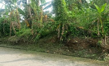 LOT FOR SALE IN AMADEO CAVITE NEAR TAGAYTAY CITY