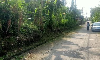LOT FOR SALE IN AMADEO CAVITE NEAR TAGAYTAY CITY