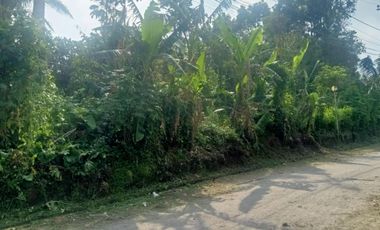 LOT FOR SALE IN AMADEO CAVITE NEAR TAGAYTAY CITY