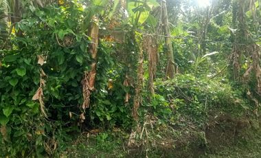 LOT FOR SALE IN AMADEO CAVITE NEAR TAGAYTAY CITY