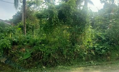 LOT FOR SALE IN AMADEO CAVITE NEAR TAGAYTAY CITY