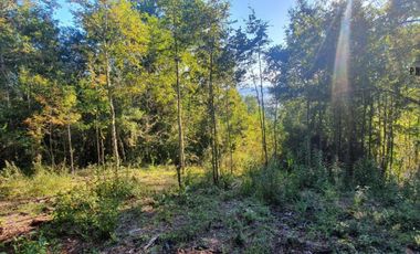 PARCELA LOTE 31 PARCELACIÓN  FUNDO PICHIHUE