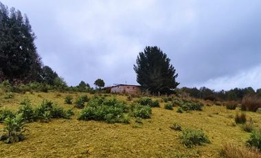 Parcela  con borde Lago Natri de 2,52 há. Sector Miraflores, Chonchi, Chiloé