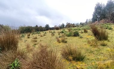 Parcela  con borde Lago Natri de 2,52 há. Sector Miraflores, Chonchi, Chiloé