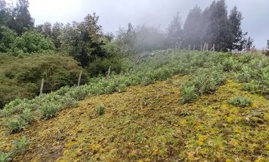Parcela  con borde Lago Natri de 2,52 há. Sector Miraflores, Chonchi, Chiloé