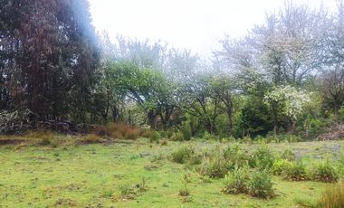Parcela  con borde Lago Natri de 2,52 há. Sector Miraflores, Chonchi, Chiloé