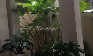For sale 2-storey house in Tibung Sari Kebo Iwa Utara