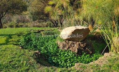 Leon Propiedades vende parcela con casa en Fundo Alhué, Curacaví.