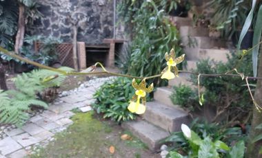 Casa rodeada de jardines