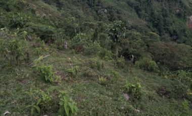 AMPLIO LOTE UBICADOEN SECTOR TURISTICO ALTO DEL NUDO DOSQUEBRADAS