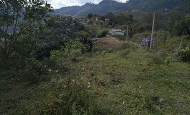AMPLIO LOTE UBICADOEN SECTOR TURISTICO ALTO DEL NUDO DOSQUEBRADAS