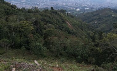 AMPLIO LOTE UBICADOEN SECTOR TURISTICO ALTO DEL NUDO DOSQUEBRADAS