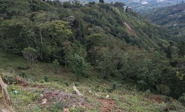 AMPLIO LOTE UBICADOEN SECTOR TURISTICO ALTO DEL NUDO DOSQUEBRADAS