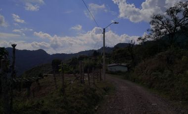 AMPLIO LOTE UBICADOEN SECTOR TURISTICO ALTO DEL NUDO DOSQUEBRADAS