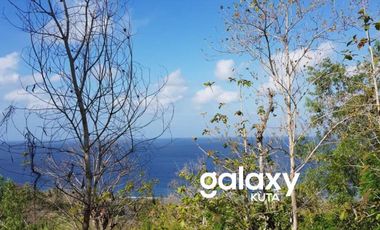DIJUAL TANAH DESA SUANA NUSA PENIDA KLUNGKUNG, BALI