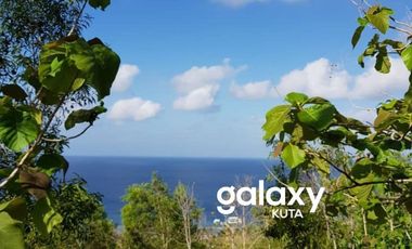 DIJUAL TANAH DESA SUANA NUSA PENIDA KLUNGKUNG, BALI