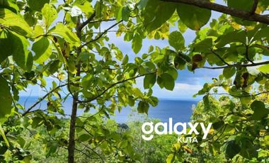 DIJUAL TANAH DESA SUANA NUSA PENIDA KLUNGKUNG, BALI