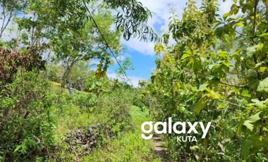 DIJUAL TANAH DESA SUANA NUSA PENIDA KLUNGKUNG, BALI