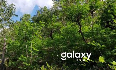 DIJUAL TANAH DESA SUANA NUSA PENIDA KLUNGKUNG, BALI