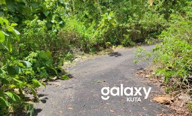 DIJUAL TANAH DESA SUANA NUSA PENIDA KLUNGKUNG, BALI