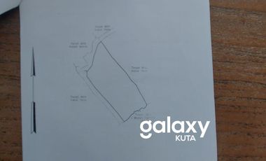 DIJUAL TANAH DESA SUANA NUSA PENIDA KLUNGKUNG, BALI